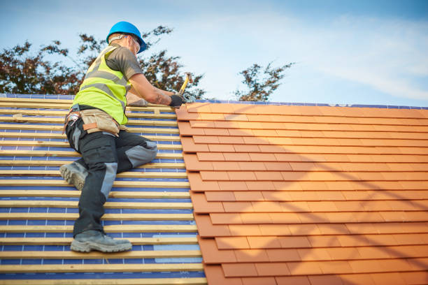 Best Storm Damage Roof Repair  in Dupont, PA